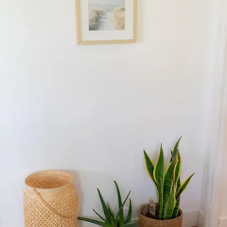 Ground Floor Apartment, Garden Bikes ,between And Ocean Apartmán *